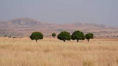 Madagaskar copyright piotr nogal 20191028_080558 Madagaskar copyright piotr nogal 20191028_080558