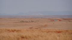 Madagaskar copyright piotr nogal 20191029_081525 Madagaskar copyright piotr nogal 20191029_081525