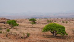 Madagaskar copyright piotr nogal 20191029_092207 Madagaskar copyright piotr nogal 20191029_092207