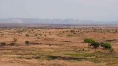 Madagaskar copyright piotr nogal 20191029_092503 Madagaskar copyright piotr nogal 20191029_092503