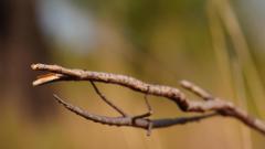 Madagaskar copyright piotr nogal 20191030_073826 Madagaskar copyright piotr nogal 20191030_073826