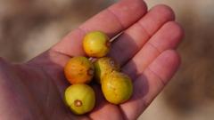 Madagaskar copyright piotr nogal 20191030_075646 Madagaskar copyright piotr nogal 20191030_075646