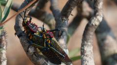 Madagaskar copyright piotr nogal 20191030_080345 Madagaskar copyright piotr nogal 20191030_080345