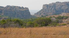 Madagaskar copyright piotr nogal 20191030_080644 Madagaskar copyright piotr nogal 20191030_080644