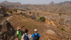 Madagaskar copyright piotr nogal 20191030_081413 Madagaskar copyright piotr nogal 20191030_081413