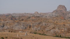 Madagaskar copyright piotr nogal 20191030_081848 Madagaskar copyright piotr nogal 20191030_081848