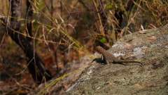 Madagaskar copyright piotr nogal 20191030_083211 Madagaskar copyright piotr nogal 20191030_083211