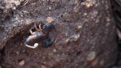 Madagaskar copyright piotr nogal 20191030_094852 Madagaskar copyright piotr nogal 20191030_094852