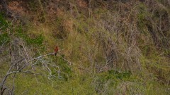 Madagaskar copyright piotr nogal 20191030_103837 Madagaskar copyright piotr nogal 20191030_103837