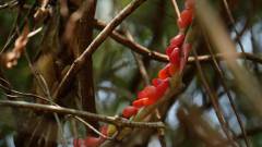 Madagaskar copyright piotr nogal 20191030_105204 Madagaskar copyright piotr nogal 20191030_105204