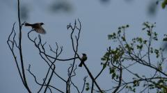 Madagaskar copyright piotr nogal 20191030_105520 Madagaskar copyright piotr nogal 20191030_105520