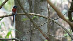 Madagaskar copyright piotr nogal 20191030_111816 Madagaskar copyright piotr nogal 20191030_111816