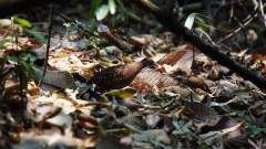 Madagaskar copyright piotr nogal 20191030_114229 Madagaskar copyright piotr nogal 20191030_114229