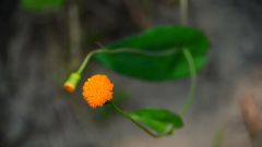 Madagaskar copyright piotr nogal 20191030_120649 Madagaskar copyright piotr nogal 20191030_120649