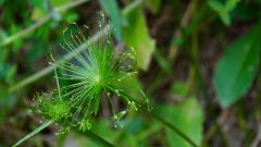 Madagaskar copyright piotr nogal 20191030_120659 Madagaskar copyright piotr nogal 20191030_120659