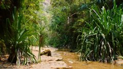 Madagaskar copyright piotr nogal 20191030_121102 Madagaskar copyright piotr nogal 20191030_121102