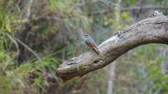 Madagaskar copyright piotr nogal 20191030_134102 Madagaskar copyright piotr nogal 20191030_134102