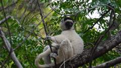 Madagaskar copyright piotr nogal 20191030_144250 Madagaskar copyright piotr nogal 20191030_144250