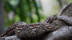 Madagaskar copyright piotr nogal 20191030_144416 Madagaskar copyright piotr nogal 20191030_144416