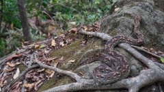 Madagaskar copyright piotr nogal 20191030_144502 Madagaskar copyright piotr nogal 20191030_144502