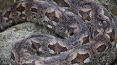 Madagaskar copyright piotr nogal 20191030_144515