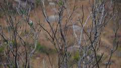 Madagaskar copyright piotr nogal 20191030_152048