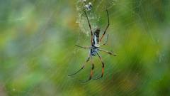 Madagaskar copyright piotr nogal 20191030_152534