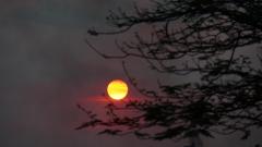 Madagaskar copyright piotr nogal 20191030_174814