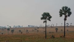 Madagaskar copyright piotr nogal 20191031_070433