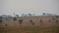 Madagaskar copyright piotr nogal 20191031_070437