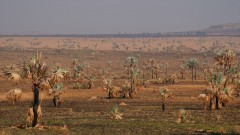 Madagaskar copyright piotr nogal 20191031_072021