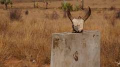 Madagaskar copyright piotr nogal 20191031_072513