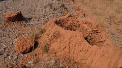 Madagaskar copyright piotr nogal 20191031_082720