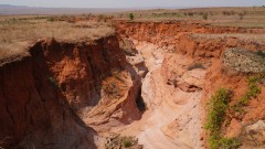 Madagaskar copyright piotr nogal 20191031_094606 Madagaskar copyright piotr nogal 20191031_094606