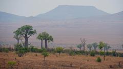 Madagaskar copyright piotr nogal 20191031_100230 Madagaskar copyright piotr nogal 20191031_100230