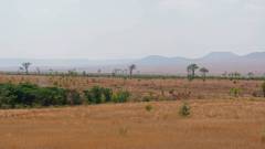 Madagaskar copyright piotr nogal 20191031_100252 Madagaskar copyright piotr nogal 20191031_100252