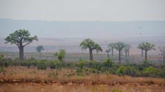 Madagaskar copyright piotr nogal 20191031_100534 Madagaskar copyright piotr nogal 20191031_100534