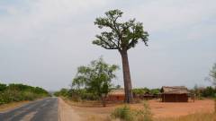 Madagaskar copyright piotr nogal 20191031_112646 Madagaskar copyright piotr nogal 20191031_112646