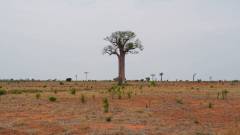 Madagaskar copyright piotr nogal 20191031_113059 Madagaskar copyright piotr nogal 20191031_113059