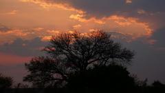 Madagaskar copyright piotr nogal 20191101_053150 Madagaskar copyright piotr nogal 20191101_053150