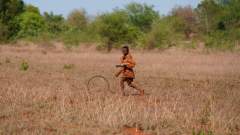 Madagaskar copyright piotr nogal 20191101_082318 Madagaskar copyright piotr nogal 20191101_082318