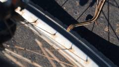 Madagaskar copyright piotr nogal 20191101_091029 Madagaskar copyright piotr nogal 20191101_091029