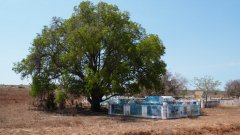 Madagaskar copyright piotr nogal 20191101_095008 Madagaskar copyright piotr nogal 20191101_095008