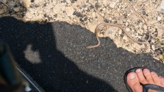 Madagaskar copyright piotr nogal 20191101_104425 Madagaskar copyright piotr nogal 20191101_104425