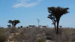 Madagaskar copyright piotr nogal 20191101_110209 Madagaskar copyright piotr nogal 20191101_110209