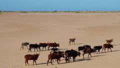 Madagaskar copyright piotr nogal 20191102_071604 Madagaskar copyright piotr nogal 20191102_071604