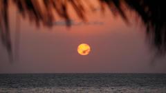 Madagaskar copyright piotr nogal 20191104_181153 Madagaskar copyright piotr nogal 20191104_181153