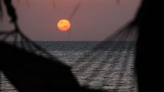 Madagaskar copyright piotr nogal 20191104_181329 Madagaskar copyright piotr nogal 20191104_181329