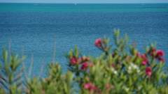 Madagaskar copyright piotr nogal 20191105_084303 Madagaskar copyright piotr nogal 20191105_084303