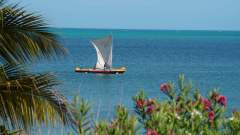 Madagaskar copyright piotr nogal 20191105_084329 Madagaskar copyright piotr nogal 20191105_084329